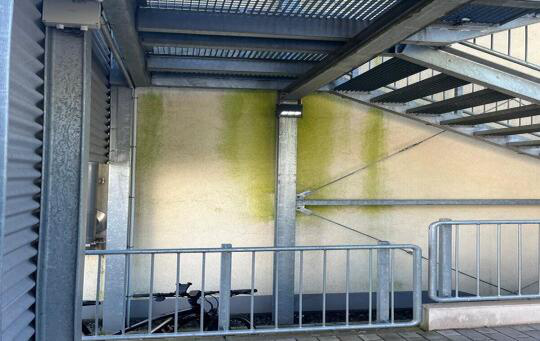 Fassade vor der Reinigung